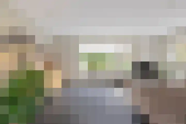 van den Berghweg 8 Didam thumbnail 6