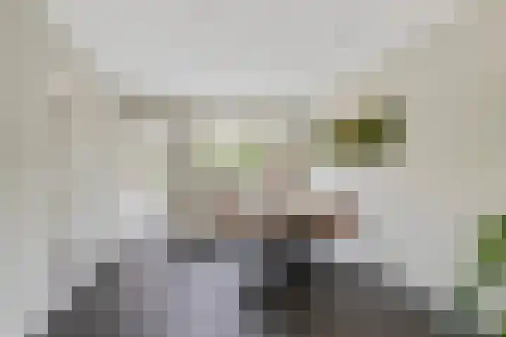 van den Berghweg 8 Didam thumbnail 7