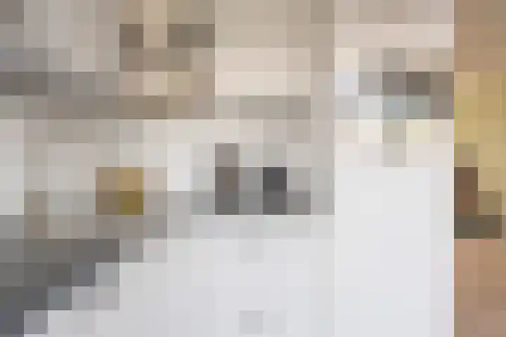 Van den Bergstraat 18 Leusden thumbnail 8