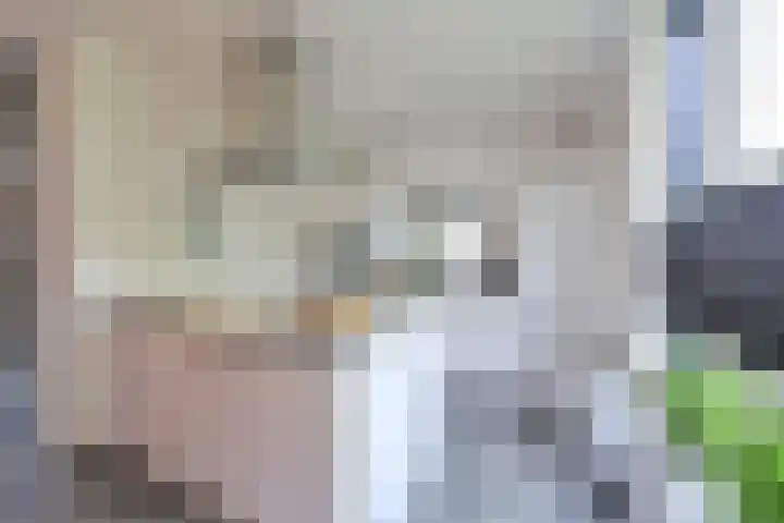 Van den Boschlaan 111 Ede thumbnail 10
