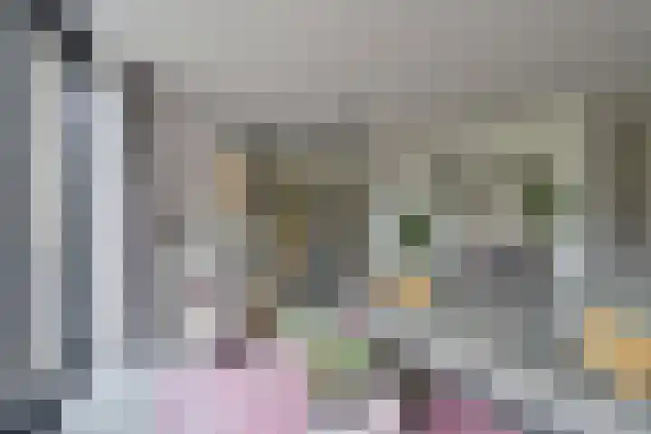 Van den Boschlaan 111 Ede thumbnail 11
