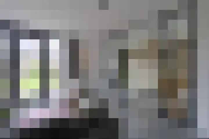 Van den Boschlaan 111 Ede thumbnail 13