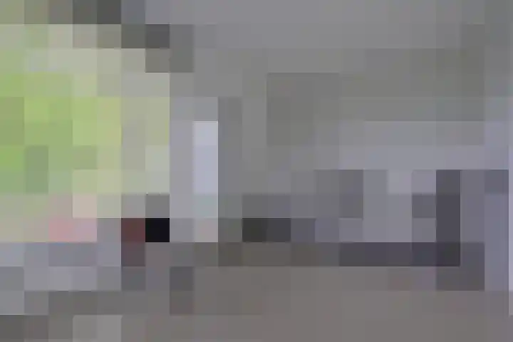 Van den Boschlaan 111 Ede thumbnail 22
