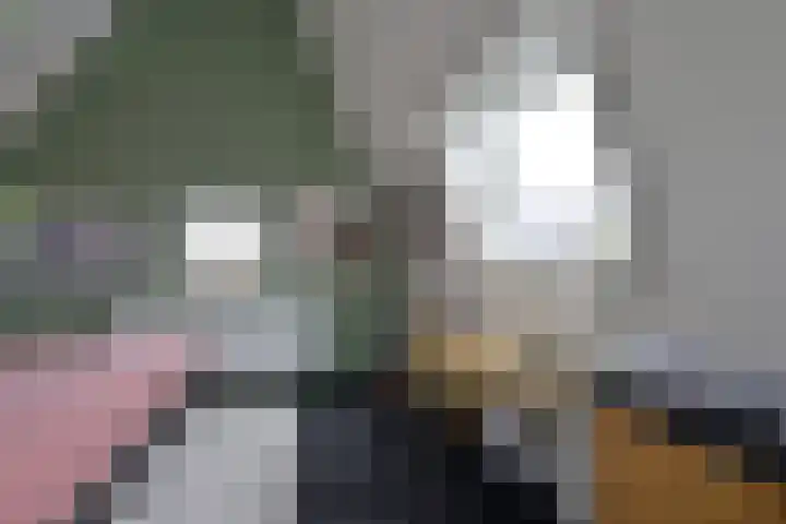 Van den Boschlaan 111 Ede thumbnail 28