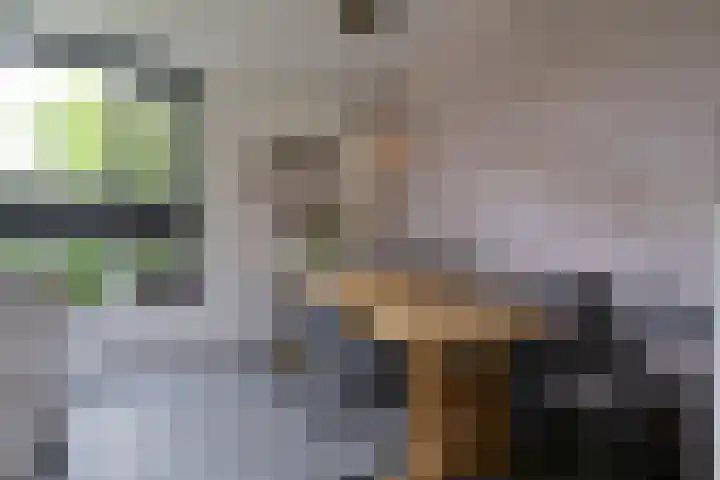 Van den Boschlaan 111 Ede thumbnail 9