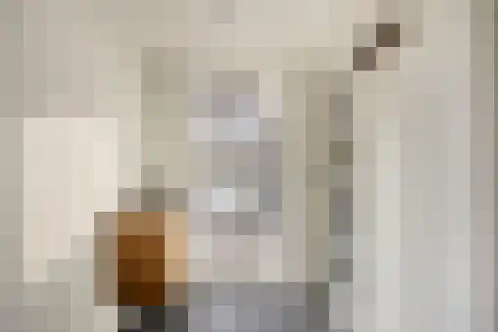 van den Eijndelaan 43 Someren thumbnail 17
