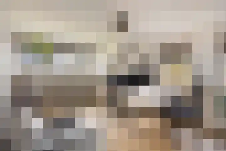 van den Eijndelaan 43 Someren thumbnail 27