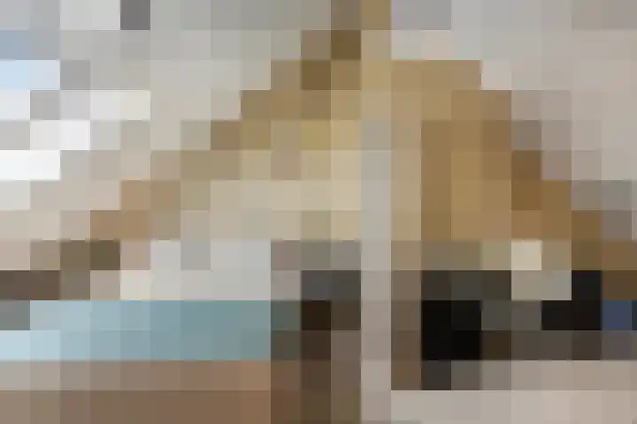 van den Eijndelaan 43 Someren thumbnail 36
