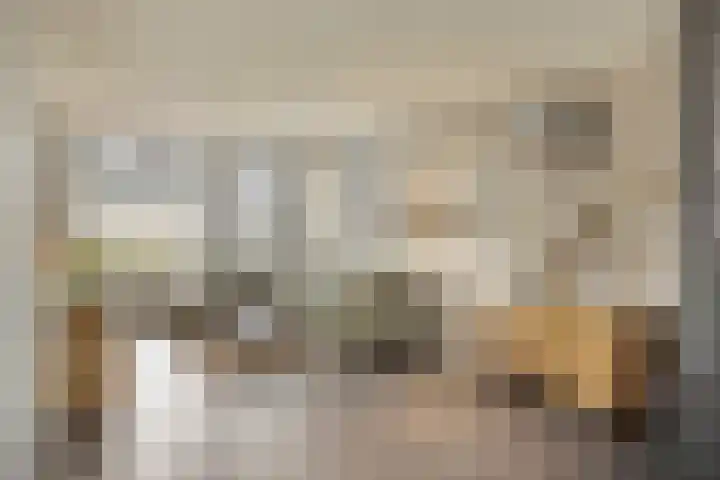 van den Eijndelaan 43 Someren thumbnail 6