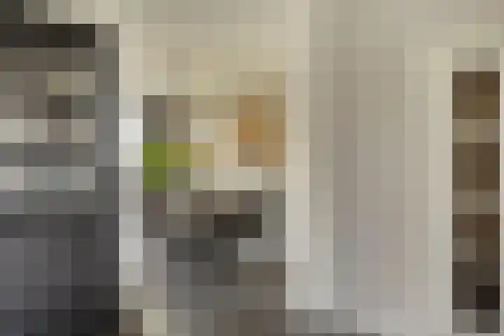 van den Eijndelaan 43 Someren thumbnail 7