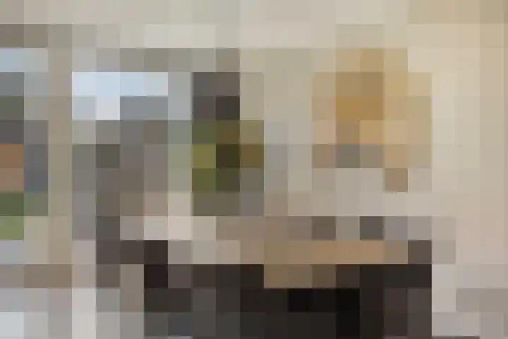 van den Eijndelaan 43 Someren thumbnail 8