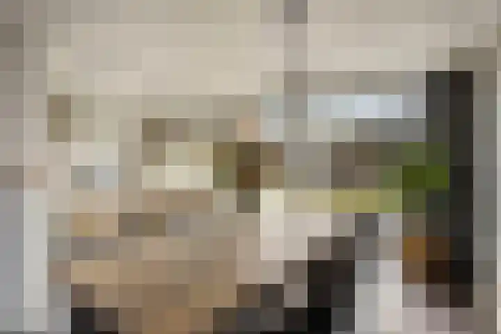 van den Eijndelaan 43 Someren thumbnail 9
