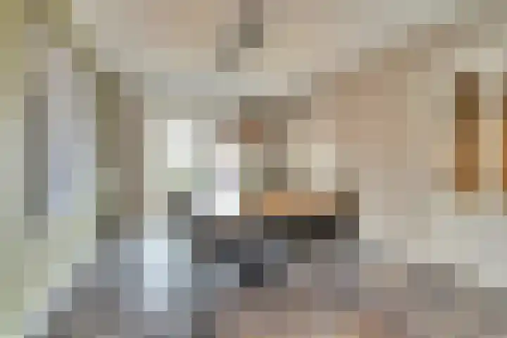 Van den Elsenstraat 2 C Hapert thumbnail 11