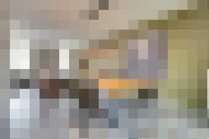 Van den Elsenstraat 2 C Hapert thumbnail 15