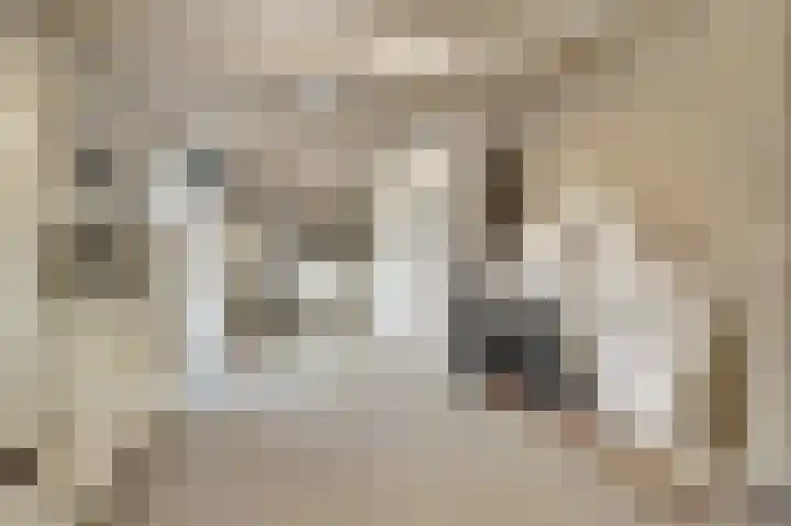 Van den Elsenstraat 2 C Hapert thumbnail 22