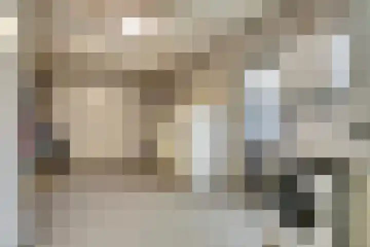 Van den Elsenstraat 2 C Hapert thumbnail 23