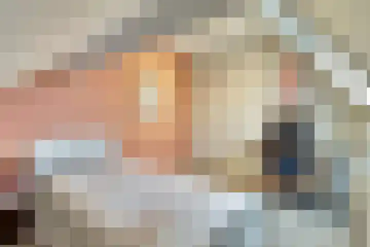 Van den Elsenstraat 2 C Hapert thumbnail 39
