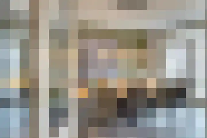 Van den Elsenstraat 2 C Hapert thumbnail 6