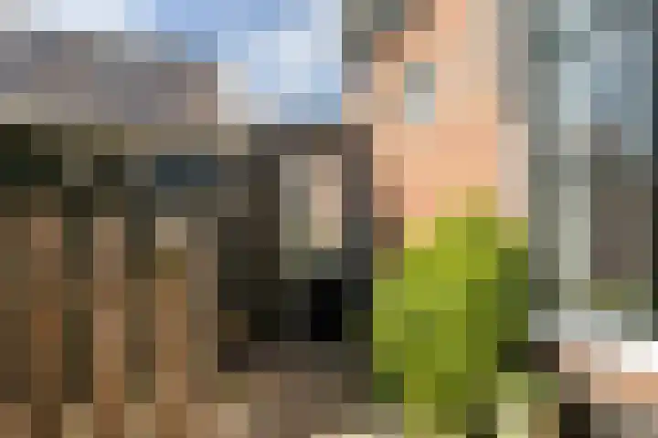 Logo Van den Hoorn Makelaardij