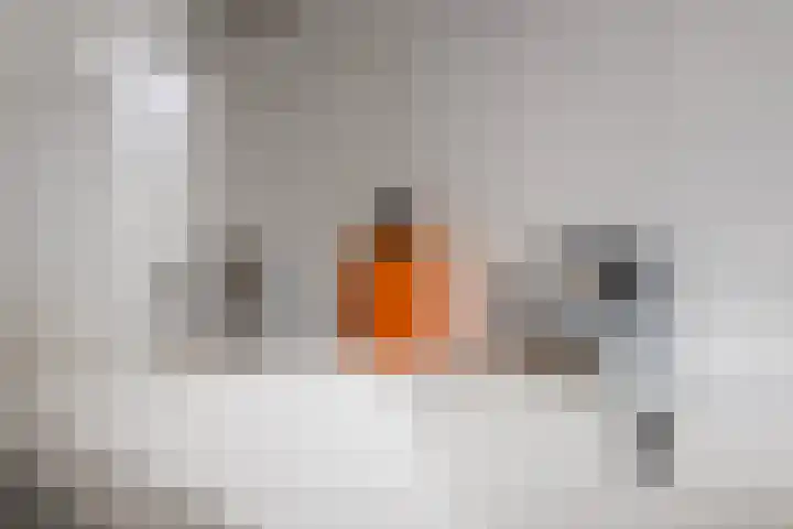 van der Beekstraat 65 Genderen thumbnail 20
