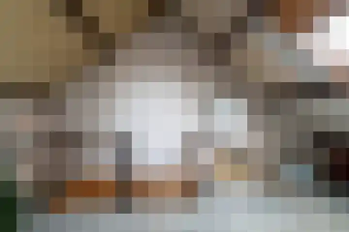 van der Duinstraat 30 Sprang-Capelle thumbnail 26