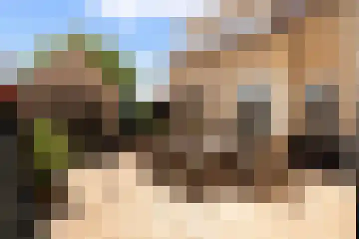 van der Duinstraat 37 Sprang-Capelle thumbnail 19
