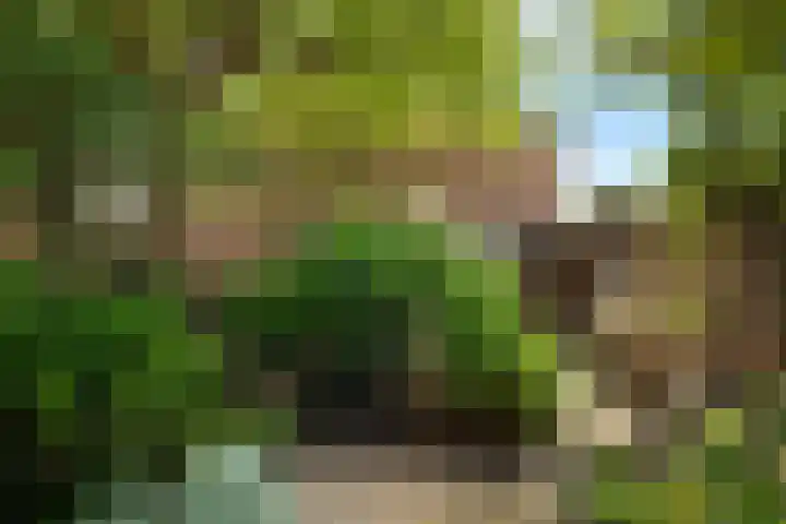van der Duinstraat 37 Sprang-Capelle thumbnail 23
