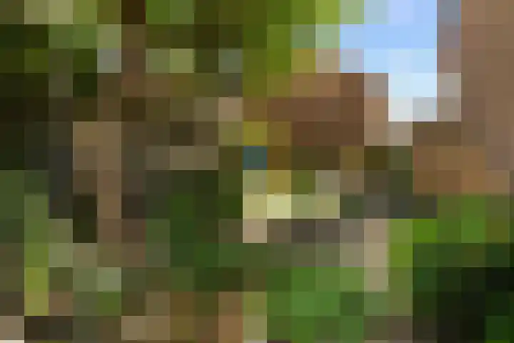 van der Duinstraat 37 Sprang-Capelle thumbnail 26