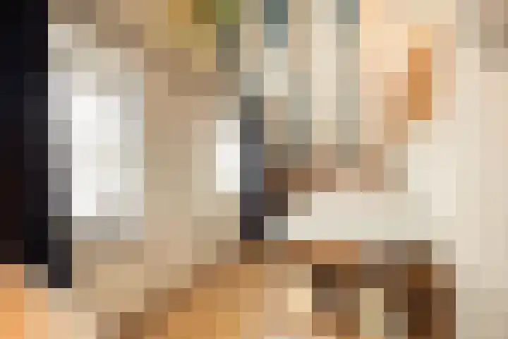 van der Duinstraat 37 Sprang-Capelle thumbnail 32