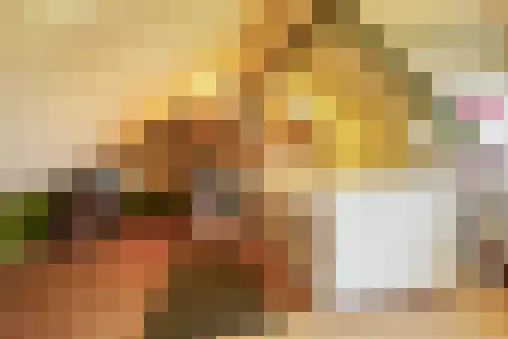 van der Duinstraat 37 Sprang-Capelle thumbnail 35