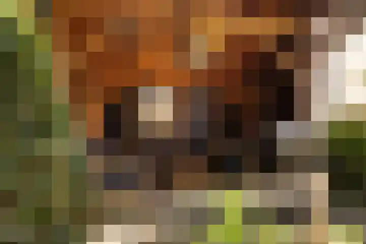 van der Duinstraat 37 Sprang-Capelle thumbnail 4