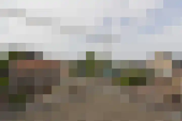 van der Duinstraat 73 Sprang-Capelle thumbnail 5