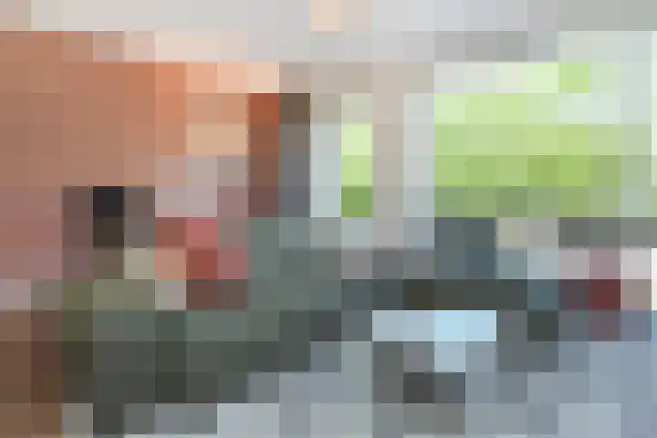 Van der Endetuinen 4 Delft thumbnail 11