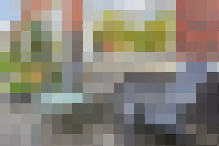Van der Endetuinen 4 Delft thumbnail 16