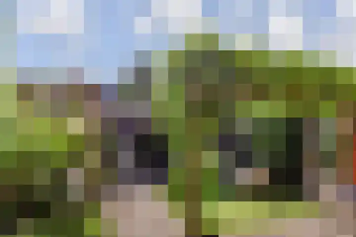Van der Endetuinen 4 Delft thumbnail 28