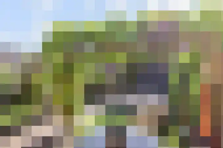 Van der Endetuinen 4 Delft thumbnail 4