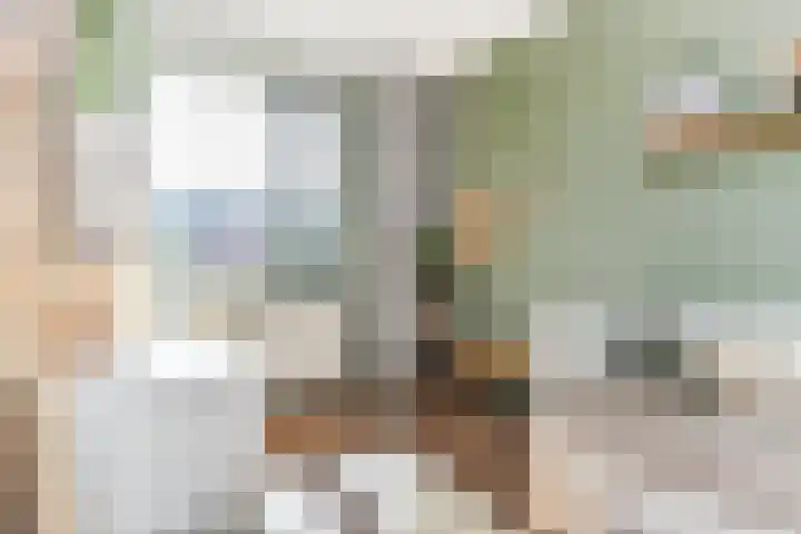 Van der Endetuinen 4 Delft thumbnail 41