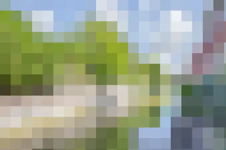 Van der Endetuinen 4 Delft thumbnail 5
