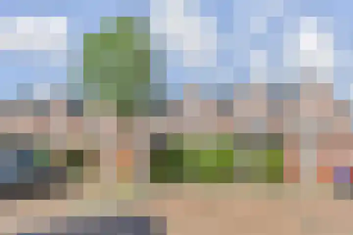 Van der Endetuinen 4 Delft thumbnail 56