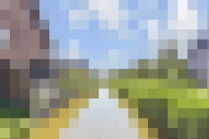 Van der Endetuinen 4 Delft thumbnail 58