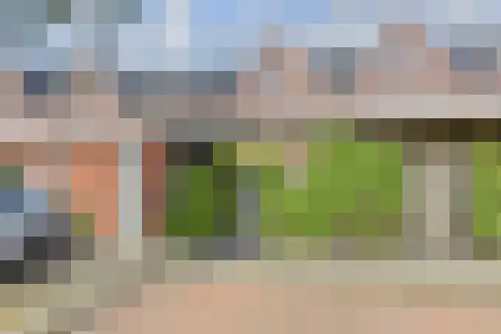 Van der Endetuinen 4 Delft thumbnail 6