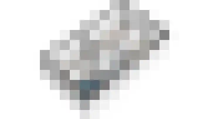 Van der Endetuinen 4 Delft thumbnail 65