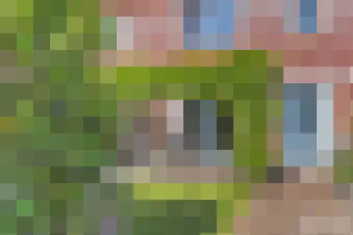 Van der Endetuinen 4 Delft thumbnail 7