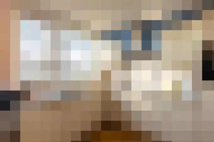 van der Goesstraat 91 Duiven thumbnail 16