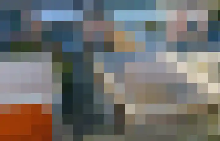 van der Goesstraat 91 Duiven thumbnail 33