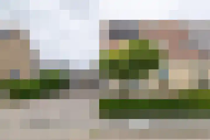 Van der Haerstrjitte 13 Ternaard thumbnail 11