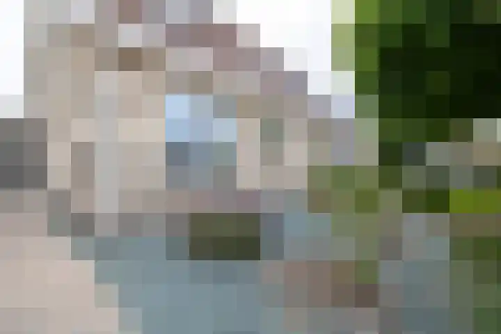 Van der Haerstrjitte 13 Ternaard thumbnail 13