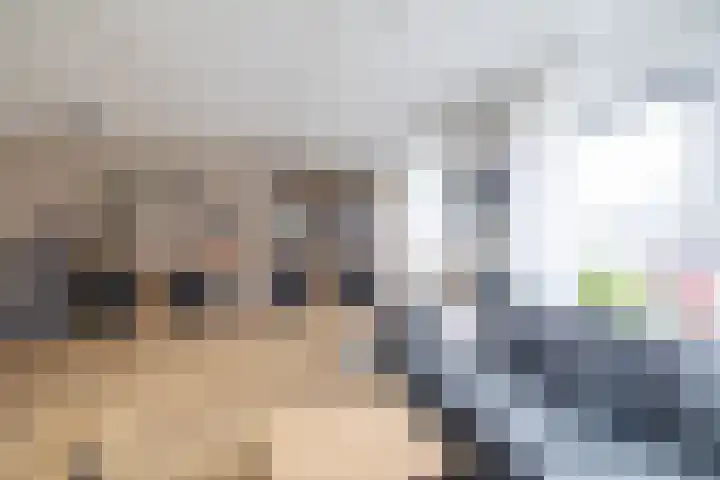 Van der Haerstrjitte 13 Ternaard thumbnail 18