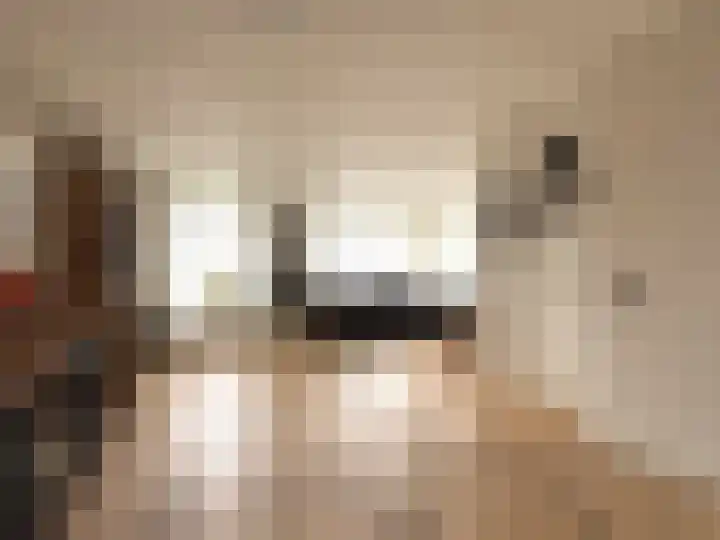 Van der Haerstrjitte 13 Ternaard thumbnail 20