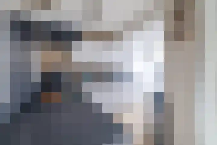 Van der Haerstrjitte 13 Ternaard thumbnail 24